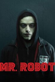 Mr. Robot